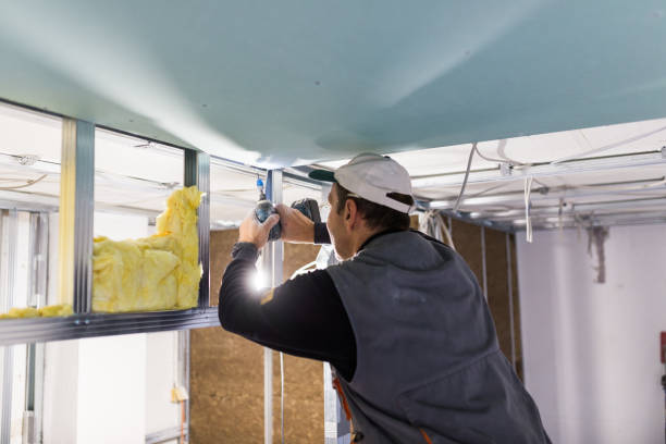 Best DIY Insulation Kits and Guidance in Mascotte, FL