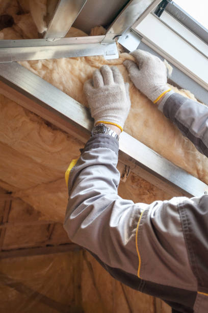 Best Geographic-Specific Insulation Services in Mascotte, FL