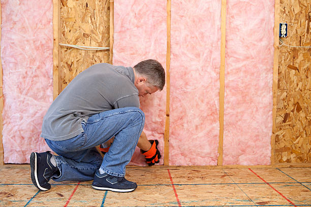 Best Insulation for Specific Applications in Mascotte, FL