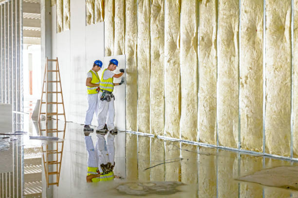 Best Blown-in Insulation in Mascotte, FL